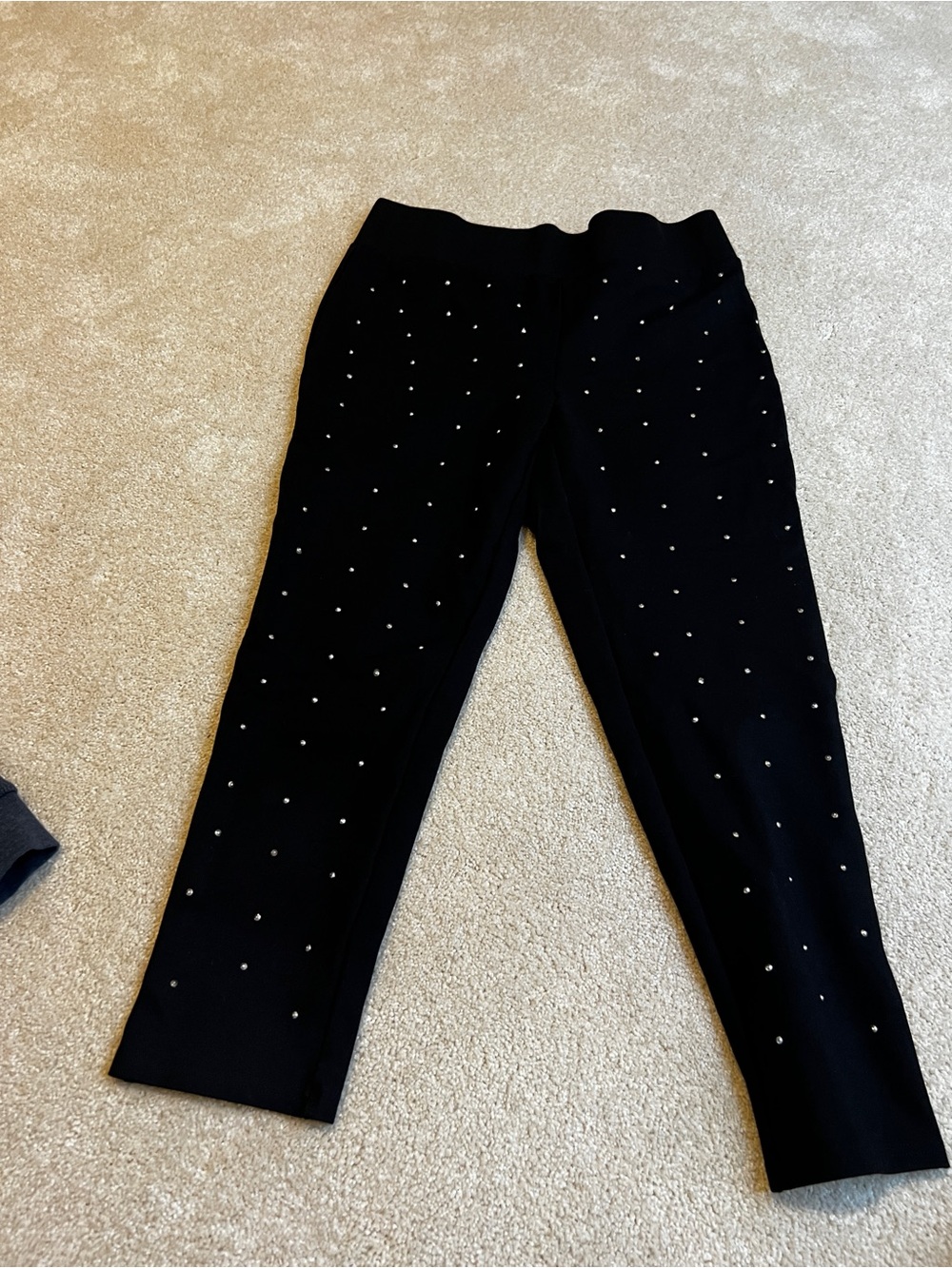 Alice Blue Black Embellished Slim Pants